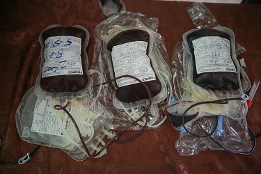 Hamas Serukan Pengungsi Palestina di Libanon Donorkan Darah untuk Korban Ledakan di Beirut